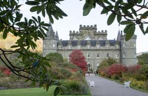 billede nr.3 af aktiviteten Fra Edinburgh: Dagsudflugt til slotte og søer i det vestlige højland i Det nordøstlige Skotland, uploadet af udbyder