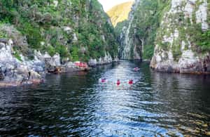 image n.3 of 3 Day Garden Route All-inclusive Private Tour from Cape Town activity in Oudtshoorn, uploaded by supplier