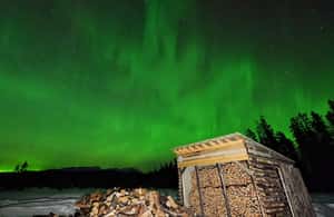 image n.4 of Whitehorse: Nighttime Northern Lights Viewing activity in Whitehorse, uploaded by supplier