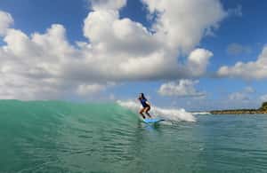 pilt nr 4/Privaatne surfitund tegevusest Sainte-Anne, Guadeloupe, üles laadinud tarnija