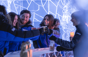 image n.3 of Queenstown: Ice Bar Entry with Warm Winter Gear and Drink activity in Queenstown, uploaded by supplier