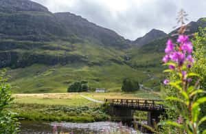 billede nr.3 af aktiviteten Fra Glasgow: Loch Ness, Glencoe og det skotske højland i Det skotske højland, uploadet af udbyder