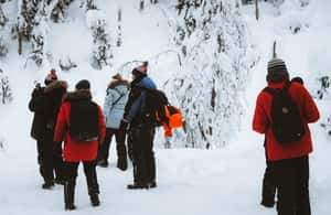 image n.4 of من روفانييمي: شلالات كوروما وأوتيكونغاس المتجمدة activity in روفانيمي, uploaded by supplier