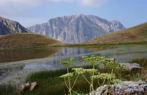 image n.4 of Guided hiking tour to the dragon lake of Mountain Tymfi activity in Epirus, uploaded by supplier