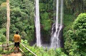 image n.3 of North Bali: Sekumpul and Banyumala Waterfalls & Rice Terrace activity in Bali, uploaded by supplier