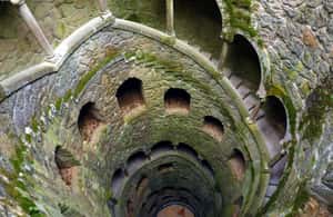 billede nr.3 af aktiviteten Lissabon: Sintra, Pena Palace, Regaleira & Monserrate dagstur i Sintra, uploadet af udbyder
