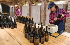 image n.3 of Buenos Aires: Wine Pairing and Lunch at Gamboa Vineyard activity in Campana, uploaded by supplier