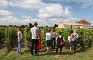 image n.4 of Médoc Morning Wine Tour - Winery & Tastings activity in Bordeaux, uploaded by supplier
