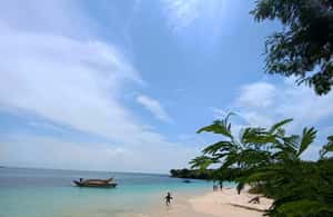 4. attēls no Lomboka: Rozā pludmales ekskursija, Slepenā Gili un snorkelēšanas ekskursija aktivitātes Indonesia, augšupielādējis partneris