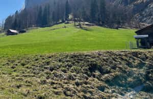 image n.3 of From Basel: Alps, Waterfalls and Lakes Private Tour activity in Lauterbrunnen, uploaded by supplier