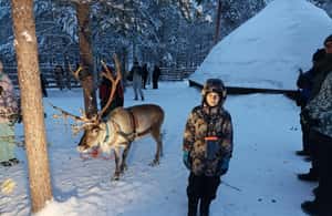 bild nr.4 av Rovaniemi: Ranua's Wildlife Park Biljett med transport aktivitet i Norra Österbotten, uppladdad av arrangören