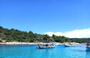 billede nr.4 af aktiviteten Fra Trogir: Privat halvdagstur med speedbåd til Den Blå Lagune i Dalmatien, uploadet af udbyder