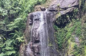 image n.3 of Arusha: Napuru Waterfalls Guided Hike activity in Arusha (Region), uploaded by supplier