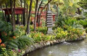 image n.4 of Madeira: Monte Tropical Gardens + Old Town Tuk Tuk by MadTuk activity in Funchal, uploaded by supplier
