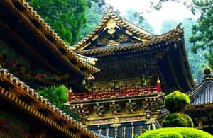 Immagine nº 4 di Da Tokyo: Tour panoramico privato di Nikko di una giornata intera attività a Nikkō, caricata dal fornitore