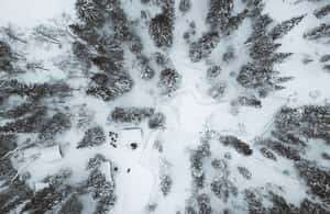 image n.3 of من روفانييمي: شلالات كوروما وأوتيكونغاس المتجمدة activity in روفانيمي, uploaded by supplier