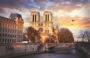 Image N°3 de Paris pour les novices - de Notre-Dame au Louvre activité à Paris, publiée par le prestataire