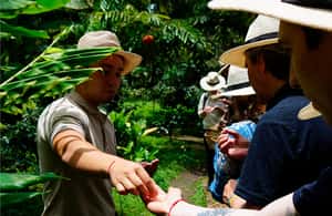 image n.4 of From Bogotá: Coffee Farm and Tequendama Falls Tour activity in Cundinamarca, uploaded by supplier
