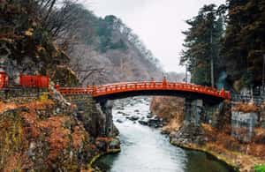Immagine nº 3 di Tokyo: gita a Nikko, Santuario Toshogu, cascate Kegon e lago Chuzenji attività a Tokyo, caricata dal fornitore