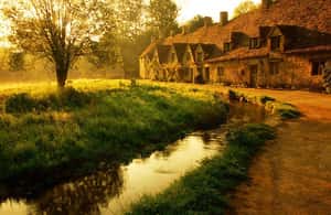 afbeelding n.3 van Vanuit Londen: Dagvullende tour door de Cotswolds met optionele lunch activiteit in Oxford, geüpload door aanbieder