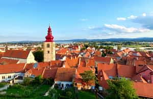 obrázok č. 4 aktivity Ptuj: Wine Hopping v najstaršom slovinskom meste v destinácii Ptuj, obrázok nahral dodávateľ