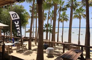 3. attēls no Fuerteventuras dienvidu visas dienas ekskursija aktivitātes Tuineje, augšupielādējis partneris