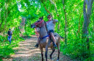 imagem n.3 de Passeio a cavalo em Punta Cana e pôr do sol + praia + transporte gratuito atividade em Higüey, carregada pelo fornecedor