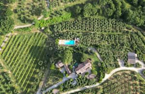 image n.4 of Paciano: Organic Cooking Class at a Farm with Lunch & Wine activity in Montepulciano, uploaded by supplier