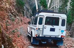 image n.3 of Unforgettable day on safari from Paphos to the Troodos mountains activity in Limassol District, uploaded by supplier