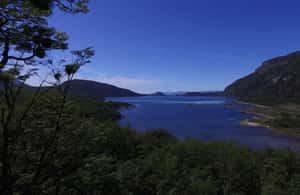 image n.3 of Ushuaia: National Park & Train of the End of the World Tour activity in Tierra del Fuego, uploaded by supplier