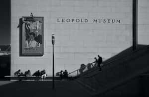 image n.3 of Skip-the-line Leopold Museum Vienna, Gustav Klimt Tour activity in Vienna, uploaded by supplier