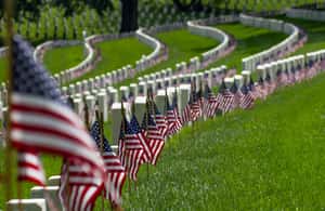 image n.3 of Washington, DC: Arlington Cemetery & Memorials Tour activity in Arlington, Virginia, uploaded by supplier