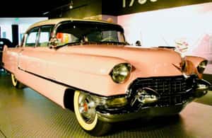 Immagine nº 3 di Tour della città di Memphis + esperienza Elvis con ingresso a Graceland attività a Memphis, caricata dal fornitore