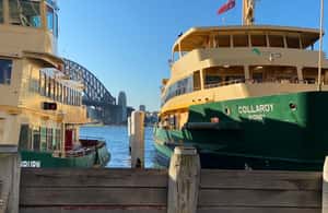 Obraz nr 3 z atrakcji Półdniowa prywatna wycieczka po Sydney: zobacz Operę, Bondi Beach w Sydney, przesłany przez organizatora