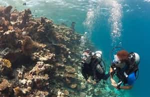 image n.4 of PADI Discover Scuba Diving: at Hol Chan Marine Reserve activity in San Pedro, Belize, uploaded by supplier