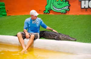 image n.3 of Miami: Wild Everglades Airboat Ride and Gator Encounters activity in Miami, uploaded by supplier