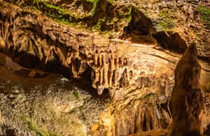 Palma de Mallorca içindeki Palma: Genova Mağaraları Bilet ve Dijital Sesli Rehber etkinliğinin tedarikçi tarafından yüklenen 3 no'lu görseli