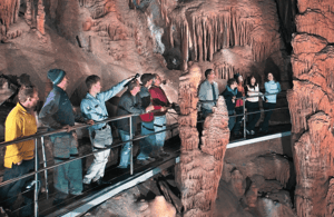 Yeni Güney Galler içindeki Sidney'den Blue Mountains Turu - Tam Gün Özel Turlar etkinliğinin tedarikçi tarafından yüklenen 3 no'lu görseli
