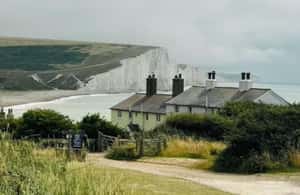 Image N°4 de Les falaises blanches des Seven Sisters et Beachy Head activité à Eastbourne, publiée par le prestataire