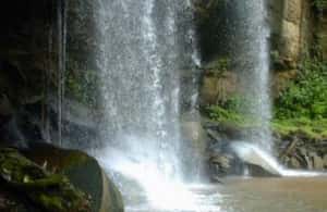 imaginea n.4 a activității De la mombasa: Shimba Hills Rezervația Națională Safari de zi în Provincia Coastei, încărcată de organizator