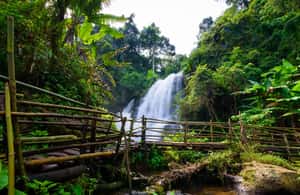 image n.3 of Chiang Mai: Doi Inthanon Park and Pha Dok Siew Trail Trek activity in Chiang Mai, uploaded by supplier