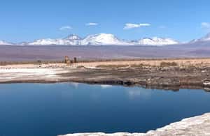 รูปภาพที่ 3 จาก ซาน เปโดร เดอ อตาคามา: ทัวร์ทะเลสาบ Salar de Atacama กิจกรรมใน ชิลีตอนเหนือ อัปโหลดโดยซัพพลายเออร์
