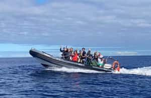 image n.4 of Terceira: Half-Day Dolphin and Whale Watching Tour activity in Angra do Heroísmo, uploaded by supplier