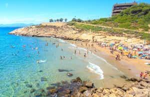 pilt nr 3/Barcelona lennujaam: Salou: Bussitransfeer alates/peale Salou tegevusest Barcelona, üles laadinud tarnija