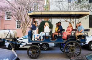 image n.4 of Charleston: Downtown Horse-Drawn Carriage Tour activity in Charleston, uploaded by supplier