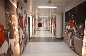 imagem n.3 de Lisboa: Passeio pelo estádio do Benfica Luz com cachecol de lembrança atividade em Lisboa, carregada pelo fornecedor