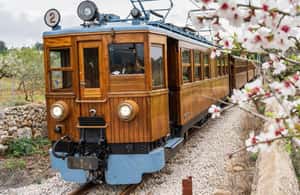 image n.4 of Mallorca: Sóller and Port of Sóller Train and Tram Tour activity in Logrono, uploaded by supplier