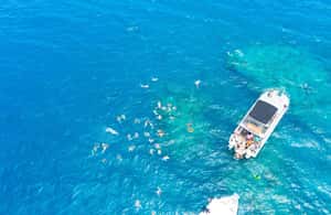 image n.3 of Fiji: Beachcomber Island Day Cruise with Snorkelling activity in Denarau Island, uploaded by supplier