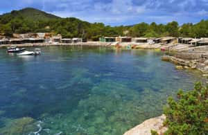 image n.4 of Ibiza: Buggy Excursion to Explore Beaches and Unique Views activity in Sant Josep de sa Talaia, uploaded by supplier