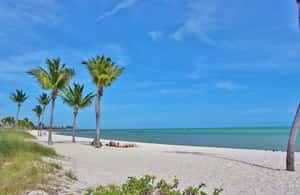imagen n.º 4 de Desde Miami Excursión de un día a Cayo Hueso con narración actividad en Cayo Hueso, subida por el proveedor